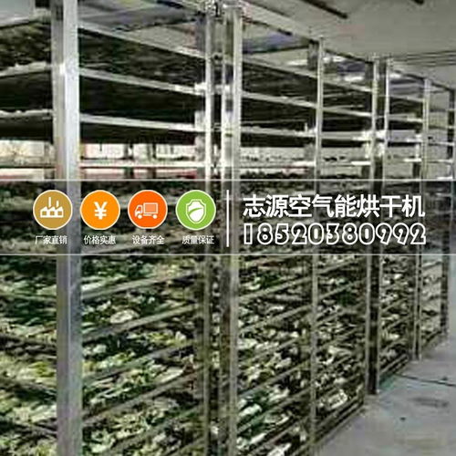 新一代熱泵果蔬烘干機的工作原理