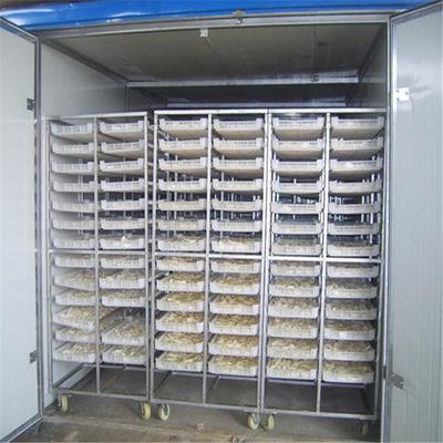 熱風循環烘干箱 農產品深加工的得力助手